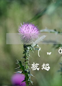 網(wǎng)貸高利貸不還會(huì)被起訴(網(wǎng)貸高利息不還會(huì)有什么后果)