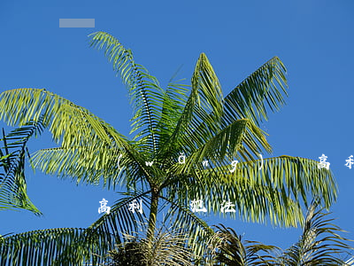 網(wǎng)貸高利貸催收怎么解決(催收高利貸犯法嗎)