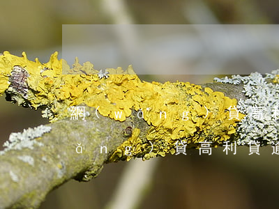 網(wǎng)貸高利貸逾期怎么還(網(wǎng)貸高利貸逾期上征信怎么辦)