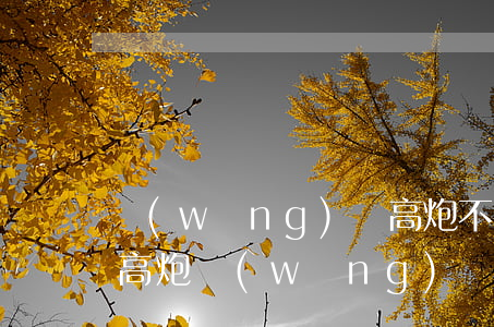 網(wǎng)貸高炮不還有什么后果(面對高炮網(wǎng)貸該如何處理)