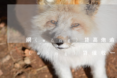 網(wǎng)貸高炮逾期怎么處理(高炮網(wǎng)貸催收一般堅持多久)