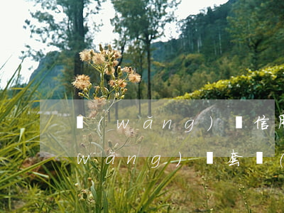 網(wǎng)賭信用卡逾期算詐騙嗎(網(wǎng)賭套現(xiàn)信用卡是詐騙嗎)