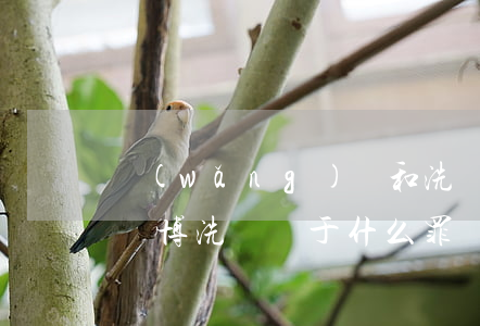 網(wǎng)賭和洗錢哪個(gè)罪大(賭博洗錢屬于什么罪)