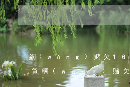 網(wǎng)賭欠16萬網(wǎng)貸(網(wǎng)賭欠網(wǎng)貸2萬)