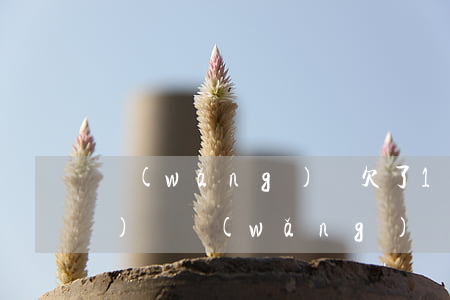 網(wǎng)賭欠了16萬網(wǎng)貸(網(wǎng)賭欠了16萬網(wǎng)貸)