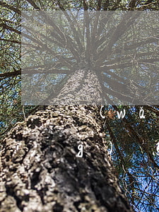 網(wǎng)賭欠了信用卡和網(wǎng)貸怎么辦(網(wǎng)賭輸了幾十萬全是欠信用卡)
