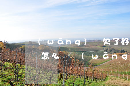 網(wǎng)賭欠了好多網(wǎng)貸怎么辦(網(wǎng)賭欠網(wǎng)貸幾十萬怎么辦)