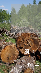 網(wǎng)賭欠了網(wǎng)貸還不上怎么辦(網(wǎng)賭輸了網(wǎng)貸還不上怎么辦)