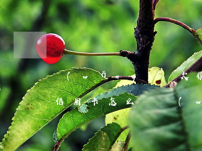 網(wǎng)賭欠很多網(wǎng)貸信用卡怎么辦(網(wǎng)賭欠信用卡網(wǎng)貸一百萬(wàn))