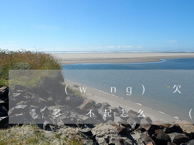 網(wǎng)賭欠網(wǎng)貸4萬多還不起怎么辦(網(wǎng)賭欠幾萬塊還不了怎么辦)