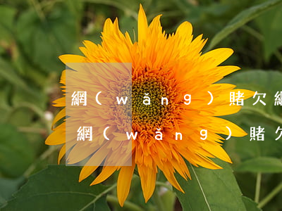 網(wǎng)賭欠網(wǎng)貸十萬(網(wǎng)賭欠十幾萬怎么辦)