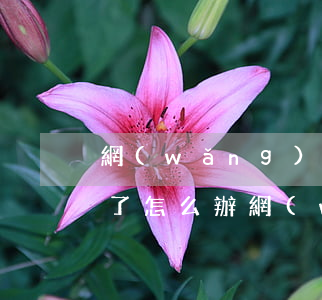 網(wǎng)賭欠網(wǎng)貸還不了怎么辦(網(wǎng)賭欠下的網(wǎng)貸)