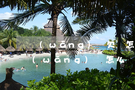 網(wǎng)賭欠貸怎么掙錢(賭博欠了網(wǎng)貸怎么辦)