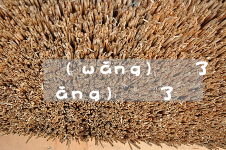 網(wǎng)賭輸了幾萬還欠小貸(網(wǎng)賭輸了幾萬還欠小貸)