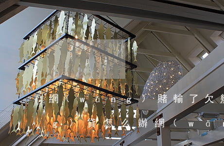 網(wǎng)賭輸了欠幾十個網(wǎng)貸怎么辦(網(wǎng)賭又輸了十幾萬貸款怎么辦)