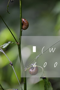 網(wǎng)賭輸了欠網(wǎng)貸6000(網(wǎng)賭輸了欠網(wǎng)貸還不起怎么辦)
