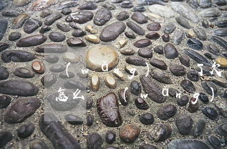 網(wǎng)賭輸了欠網(wǎng)貸怎么辦(網(wǎng)賭輸太多了欠一堆網(wǎng)貸我該怎么辦)