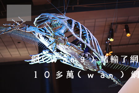 網(wǎng)賭輸了網(wǎng)貸欠10多萬(wàn)(網(wǎng)賭輸了幾百萬(wàn)網(wǎng)貸欠了一堆怎么辦)