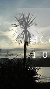 網(wǎng)賭輸了網(wǎng)貸欠10萬(wàn)(網(wǎng)賭輸10萬(wàn)都是網(wǎng)貸)