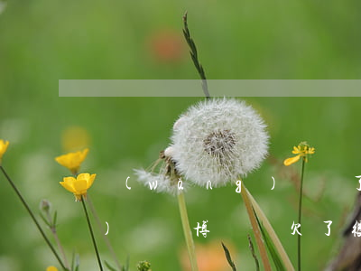 網(wǎng)賭輸了錢欠了網(wǎng)貸(賭博輸錢欠了很多網(wǎng)貸怎么辦)