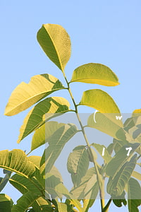 網(wǎng)賭輸了錢欠網(wǎng)貸170萬(網(wǎng)賭輸了幾百萬網(wǎng)貸欠了一堆怎么辦)
