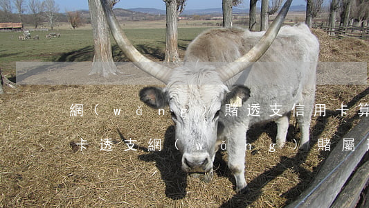 網(wǎng)賭透支信用卡算詐騙嗎(信用卡透支網(wǎng)賭屬刑事案件嗎)