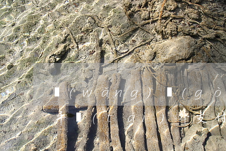 網(wǎng)購(gòu)發(fā)生平臺(tái)外支付應(yīng)當(dāng)怎么辦？