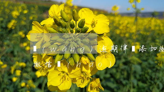 網(wǎng)逾期律師添加微信(添加律師微信號(hào))