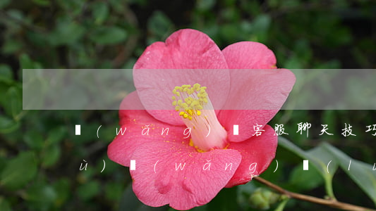 網(wǎng)銷客服聊天技巧話術(shù)(網(wǎng)絡(luò)客服話術(shù)大全)