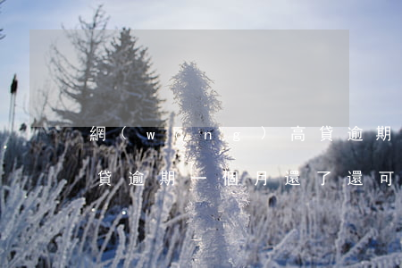 網(wǎng)高貸逾期，網(wǎng)高貸逾期一個月，還了還可以用嗎