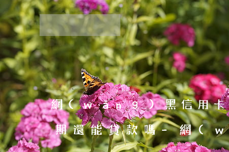 網(wǎng)黑信用卡嚴(yán)重逾期還能貸款嗎-網(wǎng)黑信用卡嚴(yán)重逾期還能貸款嗎知乎