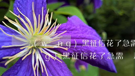 網(wǎng)黑征信花了急需貸款 網(wǎng)黑征信花了急需貸款有影響嗎