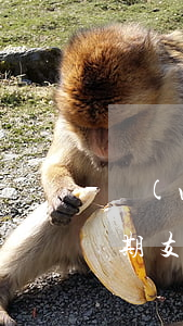 網(wǎng)黑支付寶嚴(yán)重逾期(支付寶逾期會成為黑戶嗎)