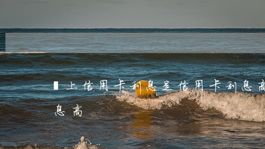 網上信用卡利息(是信用卡利息高還是網貸利息高)