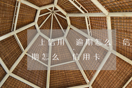 網上信用貸逾期怎么辦信用卡(網上信用貸逾期怎么辦信用卡)