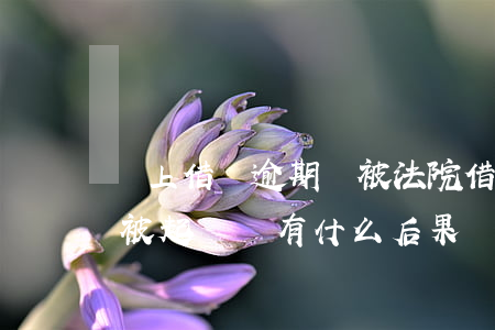 網上借錢逾期會被法院（借網上的錢逾期不還被起訴會有什么后果）