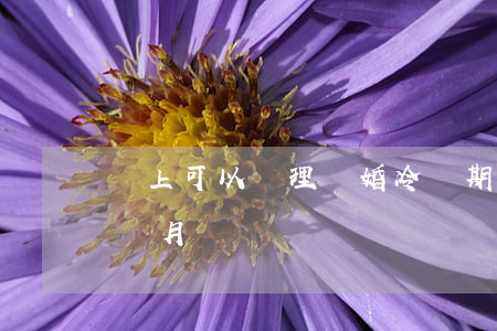 網上可以辦理離婚冷靜期么(辦理離婚冷靜一個月)
