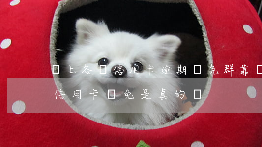 網上各種信用卡逾期減免群靠譜嗎-催收說信用卡減免是真的嗎