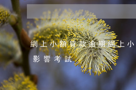 網上小額貸款逾期(網上小額貸款逾期會不會影響考試)