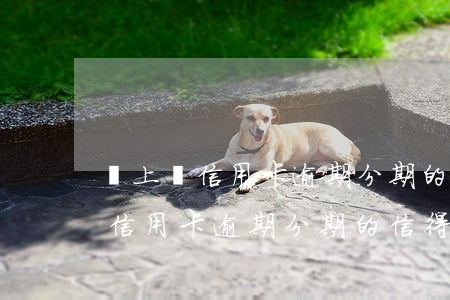 網上幫信用卡逾期分期的信得過嗎-網上幫信用卡逾期分期的信得過嗎是真的嗎
