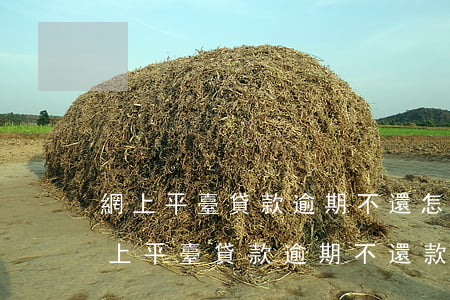 網上平臺貸款逾期不還怎么處理最有效-網上平臺貸款逾期不還款會怎么樣