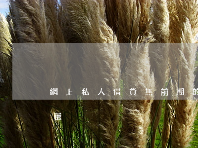 網上私人借貸,無前期的（網上私人借貸無力償還）
