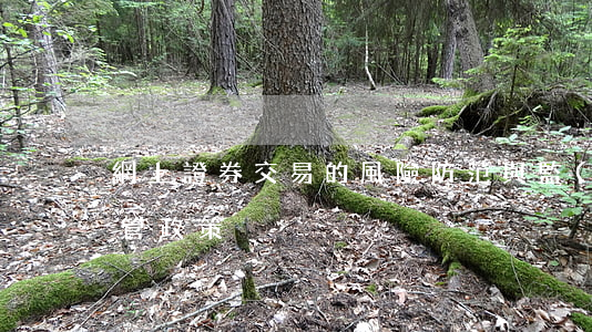 網上證券交易的風險防范與監(jiān)管政策