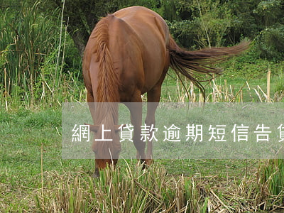 網上貸款逾期短信告(貸款逾期網絡公布)