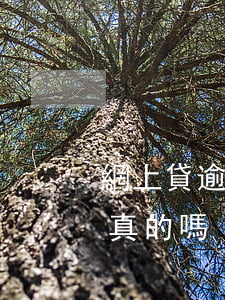 網上貸逾期說要上門(網貸逾期說明天上門是真的嗎)