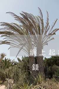 網上起訴離婚需要多少錢(離婚起訴大概多少錢)