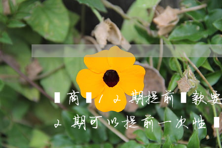 網商貸12期提前還款要利息嗎-網商貸12期可以提前一次性還清嗎