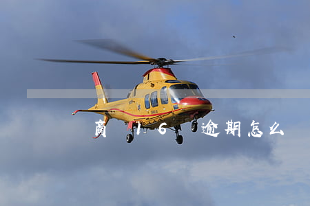 網商貸16萬逾期怎么辦 網商貸逾期五萬