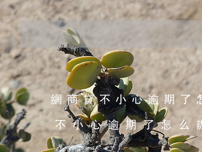網商貸不小心逾期了怎么辦信用卡-網商貸不小心逾期了怎么辦信用卡還款