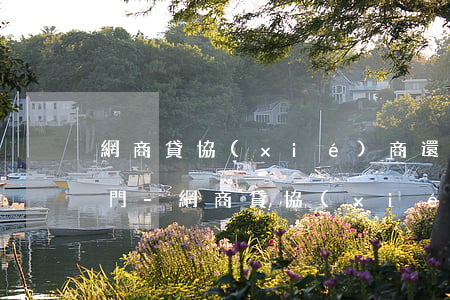 網商貸協(xié)商還款困難投訴哪個部門-網商貸協(xié)商還款困難投訴哪個部門最有效